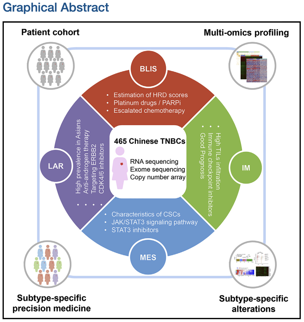 Graphical Abstract for TNBC Project